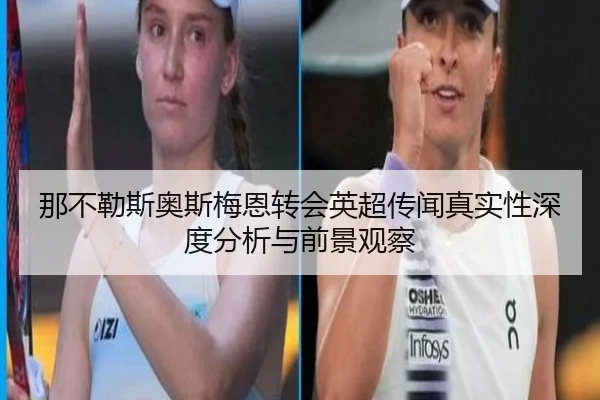 那不勒斯奥斯梅恩转会英超传闻真实性深度分析与前景观察