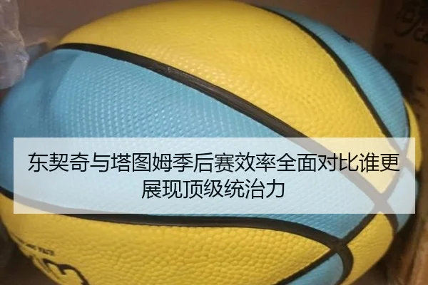 东契奇与塔图姆季后赛效率全面对比谁更展现顶级统治力