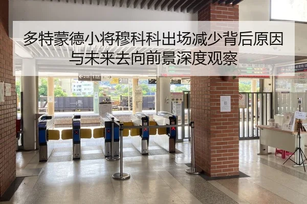 多特蒙德小将穆科科出场减少背后原因与未来去向前景深度观察