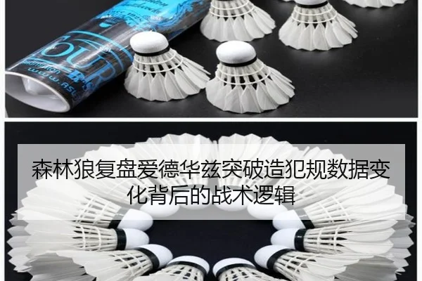 森林狼复盘爱德华兹突破造犯规数据变化背后的战术逻辑